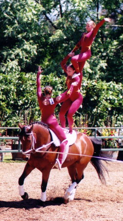 馬上體操舞技 Equestrian Vaulting 欣賞