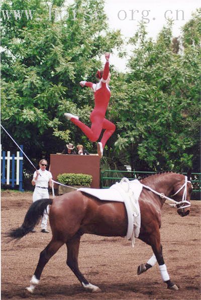 馬上體操舞技 Equestrian Vaulting 欣賞