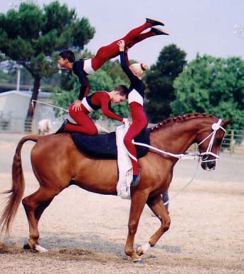 馬上體操舞技 Equestrian Vaulting 欣賞