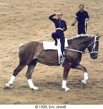 馬上體操舞技 Equestrian Vaulting 欣賞