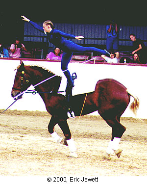 馬上體操舞技 Equestrian Vaulting 欣賞