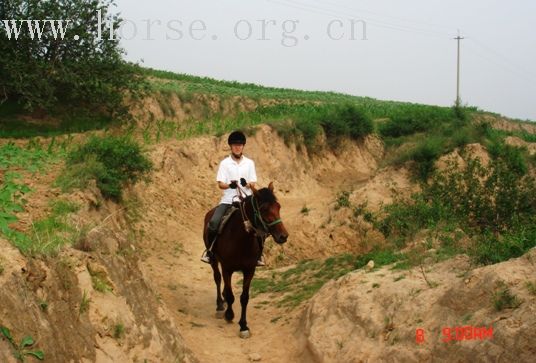 这石壁上的小路真险