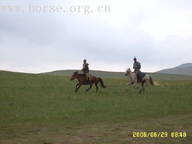 [公告]中国马友联盟越野拉力及速度接力赛程安排