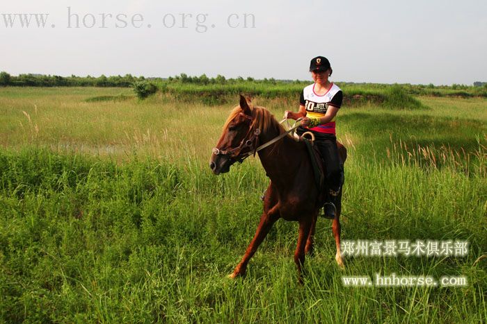 关于中原骑士团以及活动基地