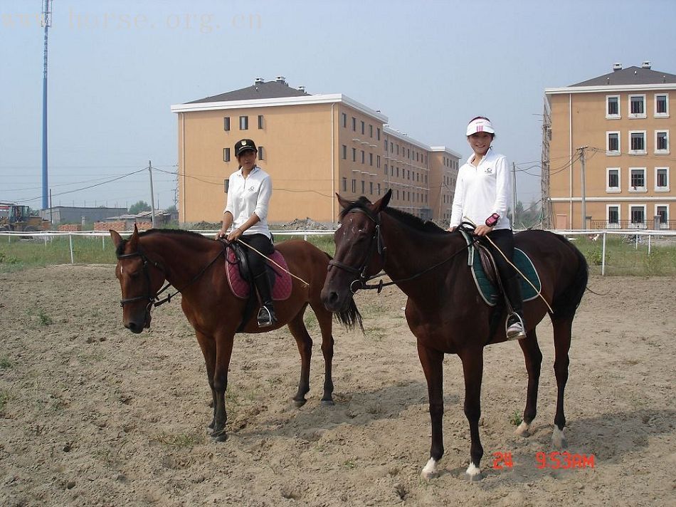 帝景骑术俱乐部欢迎大家,找我五折给你们,带图片介绍