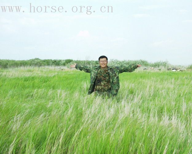 [贴图]★★二零零六年——纵马呼伦贝尔大草原★★