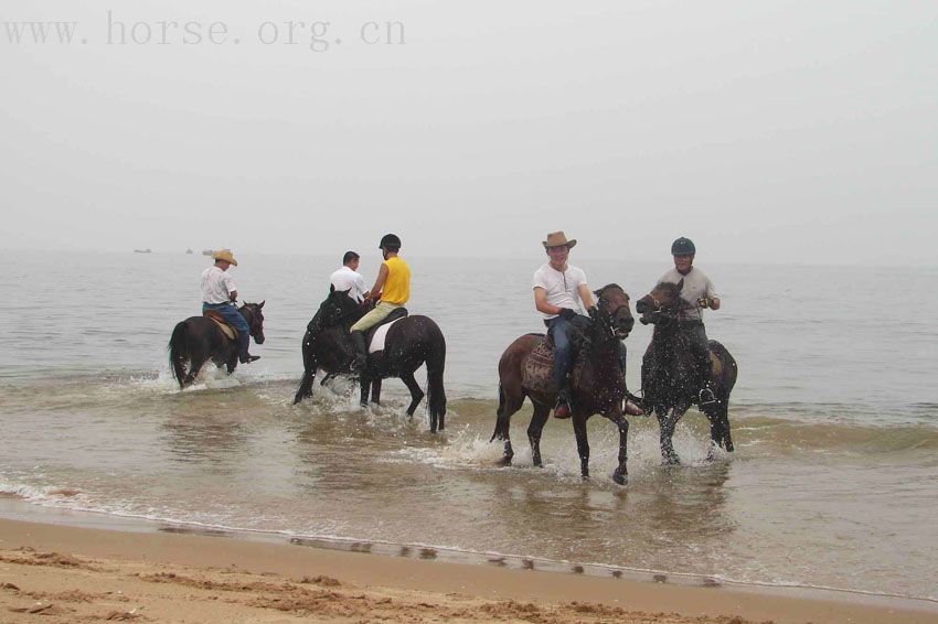 踏浪驭马－－爱马仕黄金海岸之旅