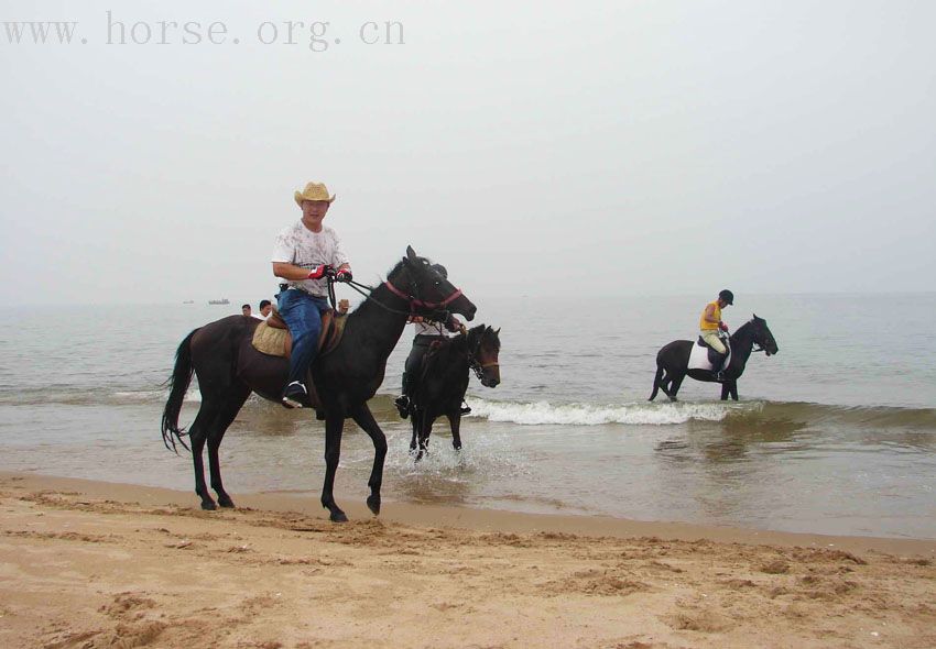 踏浪驭马－－爱马仕黄金海岸之旅