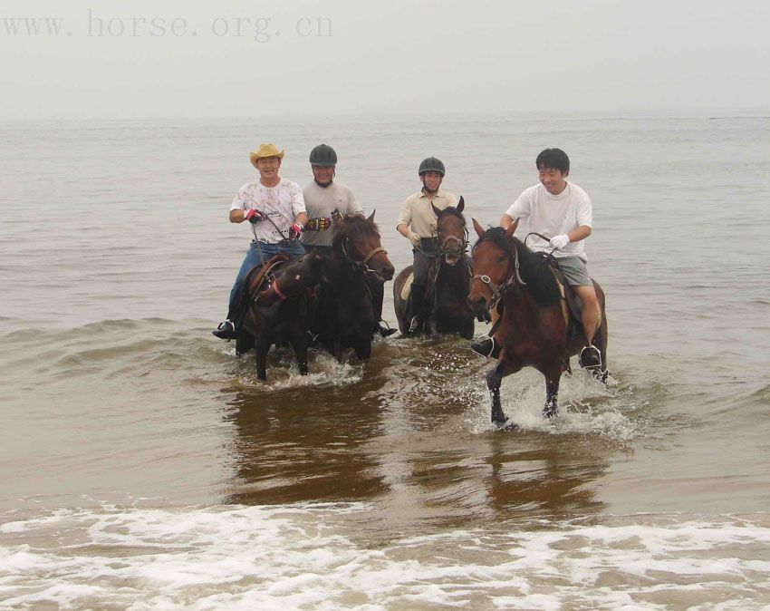 踏浪驭马－－爱马仕黄金海岸之旅