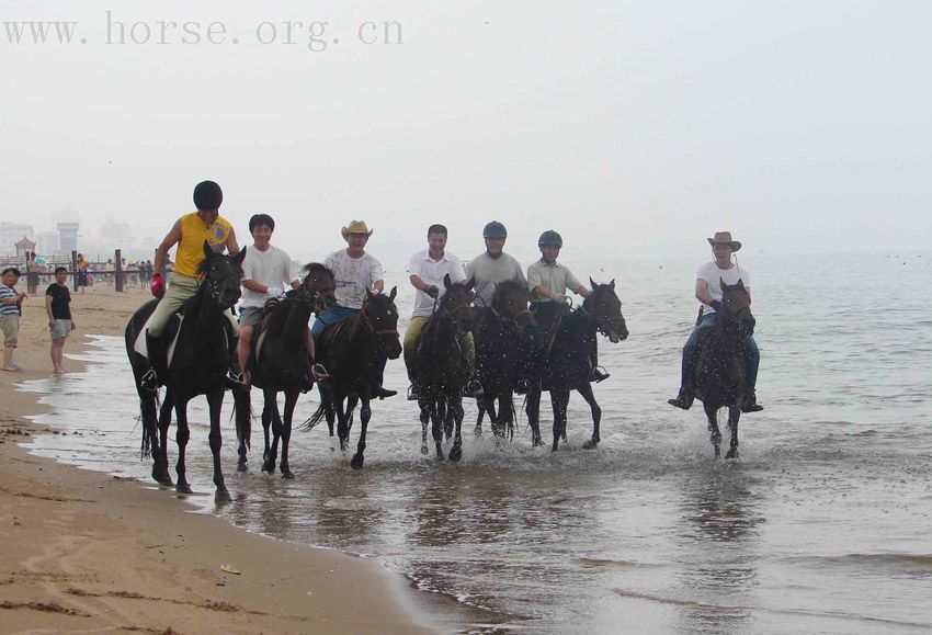 踏浪驭马－－爱马仕黄金海岸之旅