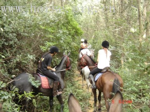 天公作美——喜迎马友出麻山……8月5日