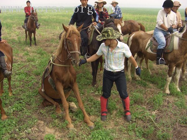 [贴图]中原骑士团大型DV拍摄之花絮