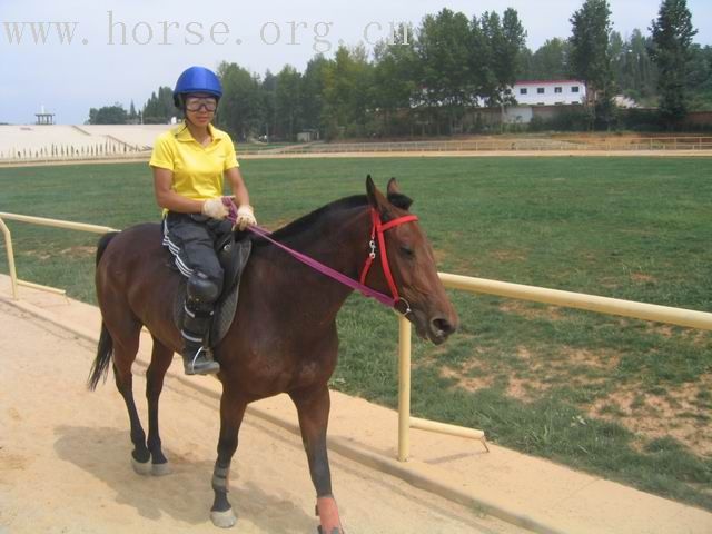 女骑手