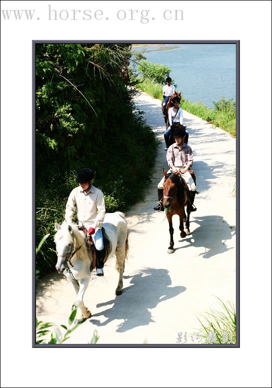 骏马飞扬在青山绿水之间-----浙江台州马友野骑的照片