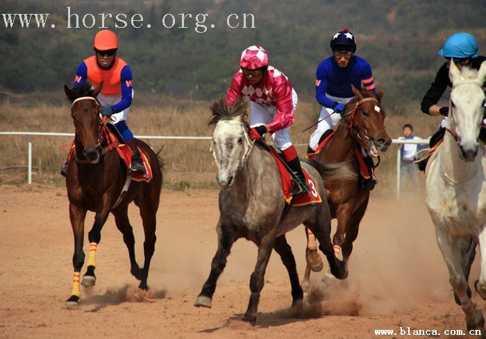 “乘风杯”两广速度赛马交流赛！将于12.23日在乘风寨举行！