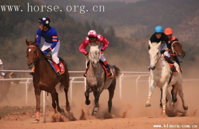 “乘风杯”两广速度赛马交流赛！将于12.23日在乘风寨举行！