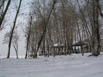 [公告]农家院、杀猪菜，雪地里撒欢过小年