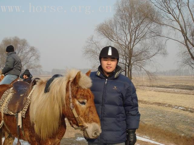 [贴图]奉天骑兵营第八次冬训照片