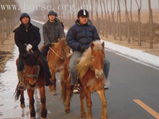 [贴图]奉天骑兵营第八次冬训照片