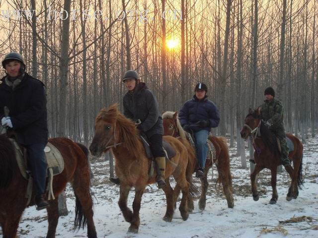 [贴图]奉天骑兵营第八次冬训照片