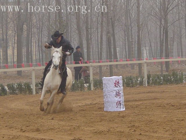 [贴图]河南马友新年大会图片