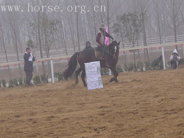 [贴图]河南马友新年大会图片