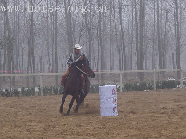 [贴图]河南马友新年大会图片