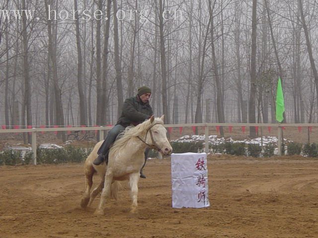 [贴图]河南马友新年大会图片