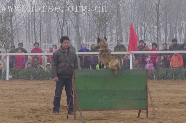 [贴图]河南马友新年大会图片