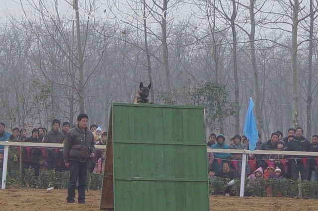 [贴图]河南马友新年大会图片