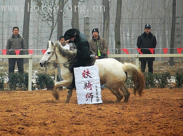 新乡马赛花絮