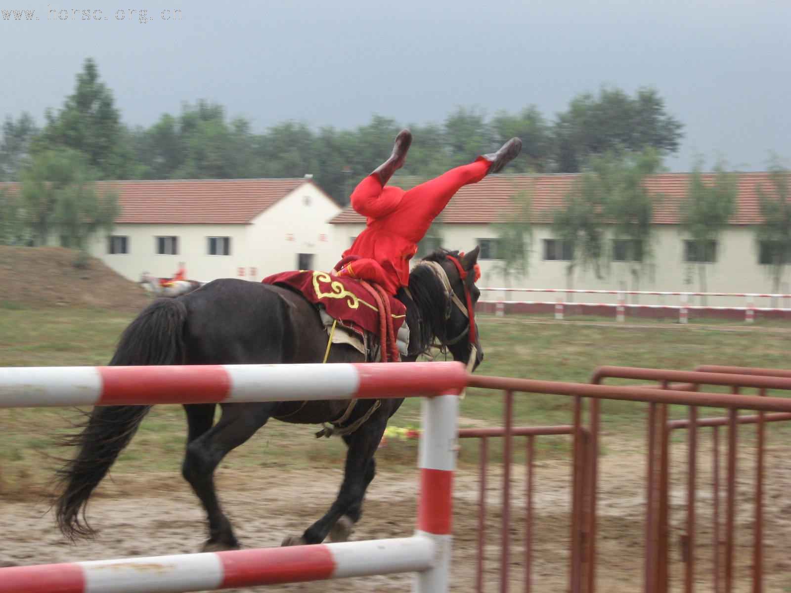 吴桥马背上的杂技 （重新发的）