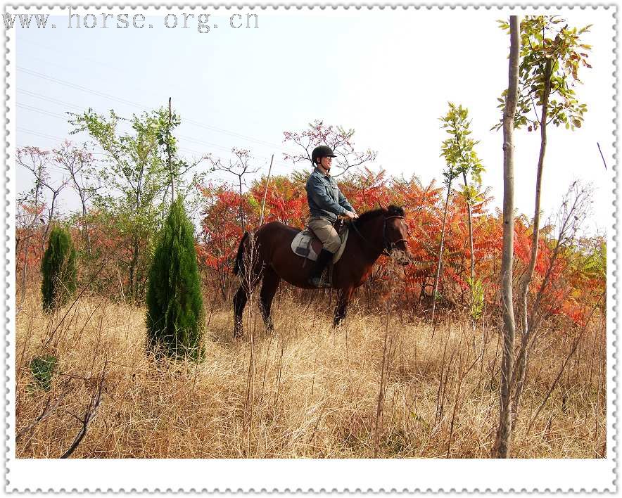 [贴图]周未我们去骑马（二）----10月21日骑马流水