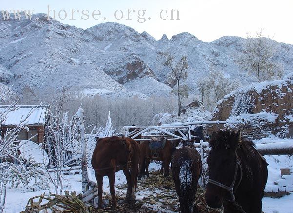 赶在暴风雪以前转场的同学们给大家带来了最美丽的风景(照片收集)