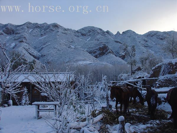 赶在暴风雪以前转场的同学们给大家带来了最美丽的风景(照片收集)