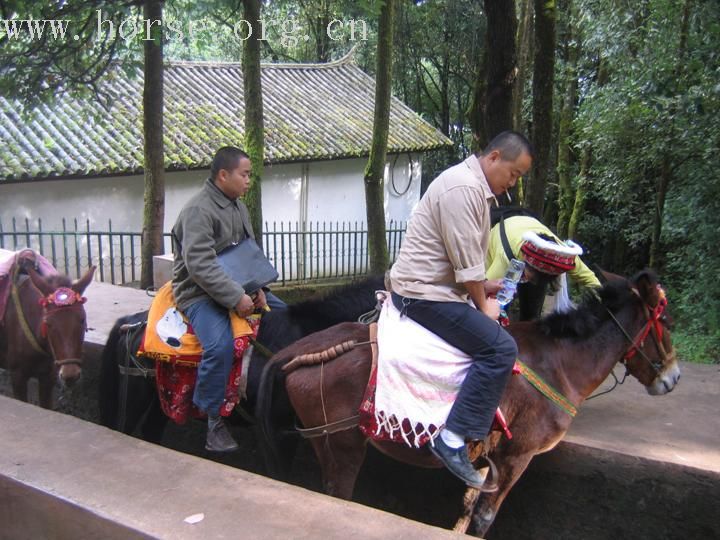 跃马滇西 大理鸡足