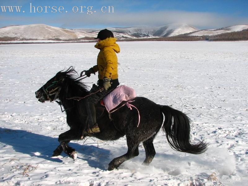 马踏飞雪