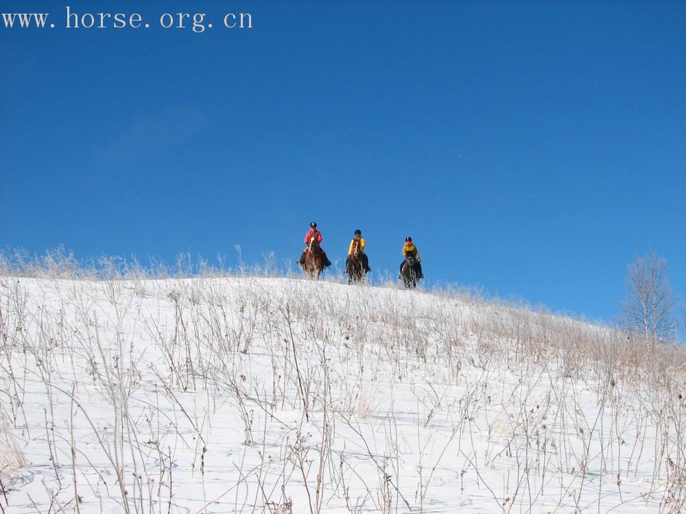 马踏飞雪