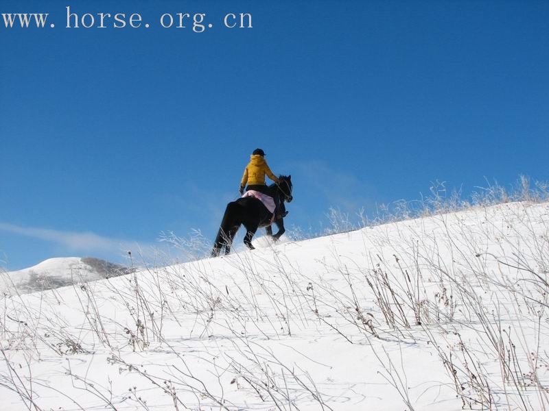 马踏飞雪