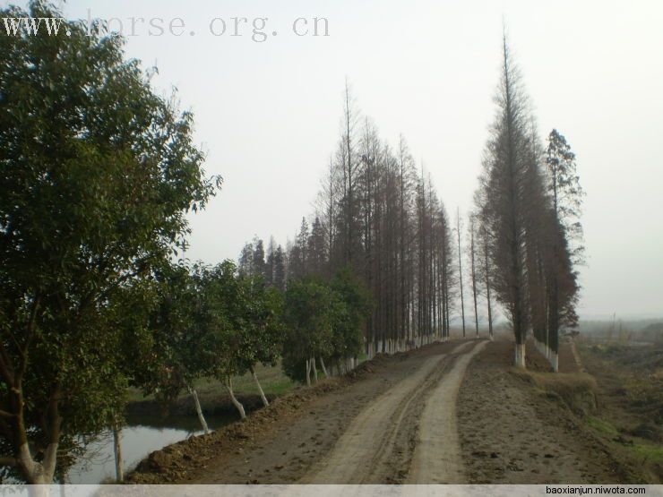 环淀山湖野骑路线PP