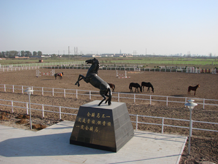 热烈祝贺石家庄艾玛仕马术俱乐部正式成立~!(图)