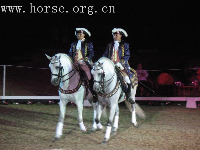 再谈泰国＂Passionata Horse Show＂