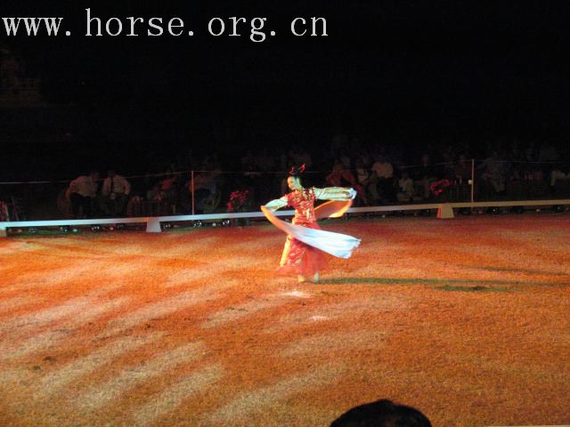 再谈泰国＂Passionata Horse Show＂