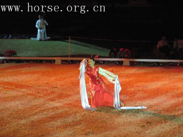 再谈泰国＂Passionata Horse Show＂