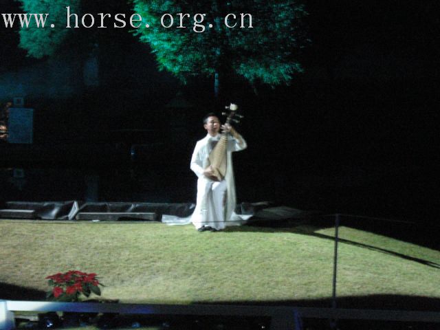 再谈泰国＂Passionata Horse Show＂