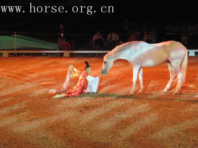 再谈泰国＂Passionata Horse Show＂