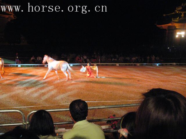 再谈泰国＂Passionata Horse Show＂