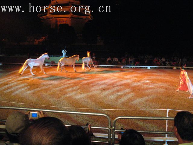 再谈泰国＂Passionata Horse Show＂