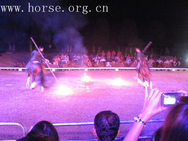 再谈泰国＂Passionata Horse Show＂