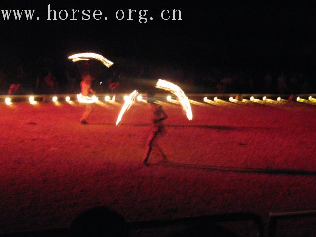 再谈泰国＂Passionata Horse Show＂